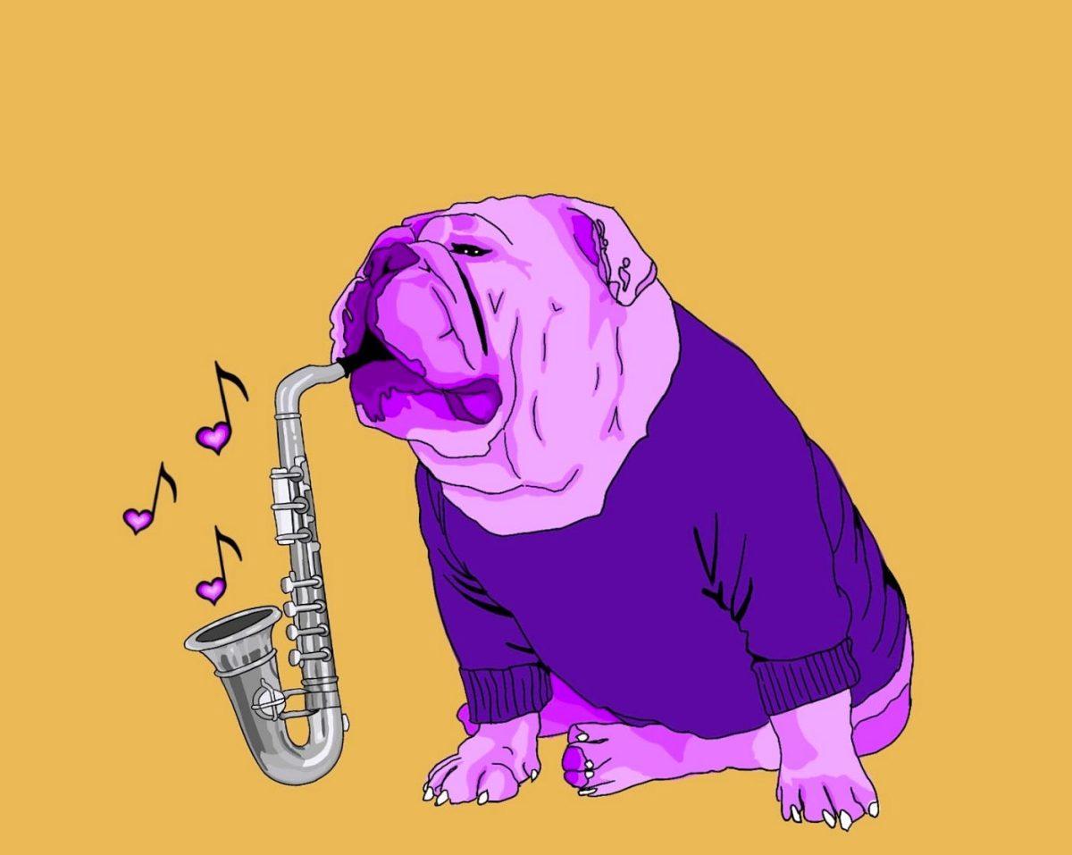 Archibald, Marry Me: A tale of band promotion and puppy love